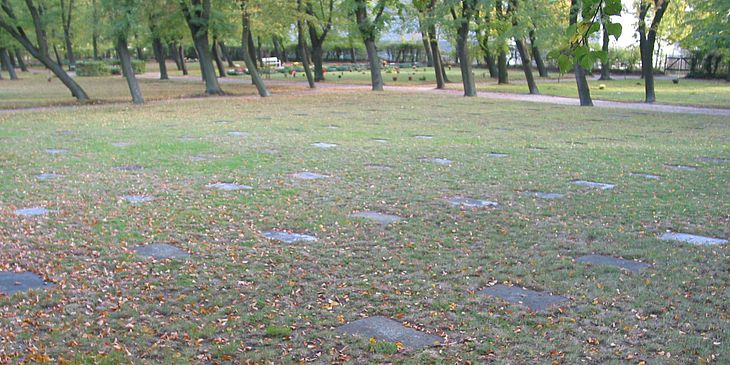 Gräberfeld Gräberfeld